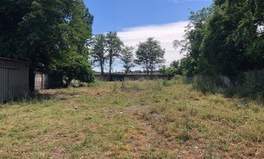 Agrícola En Venta En Rengocon Casa Patronal , Bodegas