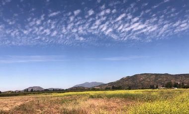 Agrícola En Venta En Rengocon Casa Patronal , Bodegas