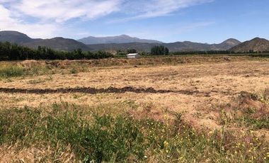 Agrícola En Venta En Rengocon Casa Patronal , Bodegas