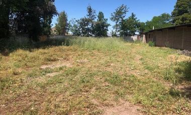 Agrícola En Venta En Rengocon Casa Patronal , Bodegas