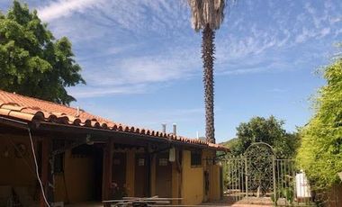 Agrícola En Venta En Rengocon Casa Patronal , Bodegas