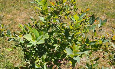 CASA 200M2 CONDOMINIO COUNTRY VILLARRICA