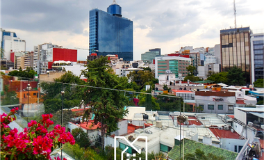 Exclusivo silencioso PH del Valle Nte 3R 3.5B 2E y roof garden propio