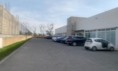 LOCAL COMERCIAL EN RENTA