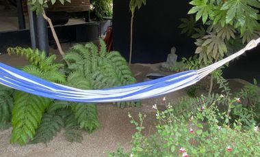 Cabaña en Arriendo en Maitencillo