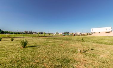 Terreno - Casonas del Haras