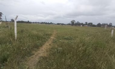 Terreno en venta en Miramar, General Alvarado