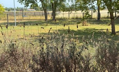 CASA EN ALQUILER 5 AMBIENTES, BARRIO MONET, LOS CARDALES