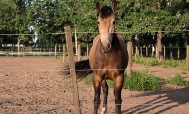 Oportunidad Lote en La Rinconada Club de Campo