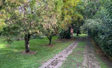 Dos quintas en 33 Orientales - 20 de Junio