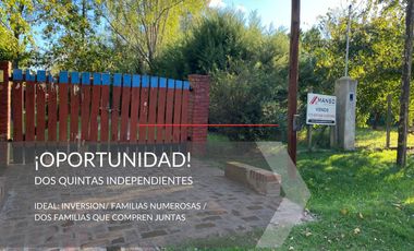 Dos quintas en 33 Orientales - 20 de Junio