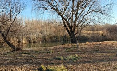 Venta propiedad en Allen , Rio Negro