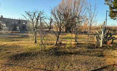 Venta propiedad en Allen , Rio Negro