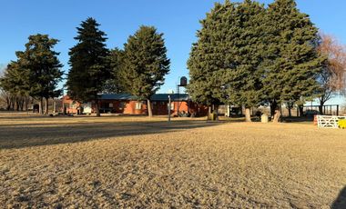 Venta propiedad en Allen , Rio Negro