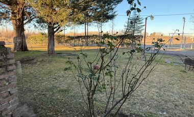 Venta propiedad en Allen , Rio Negro