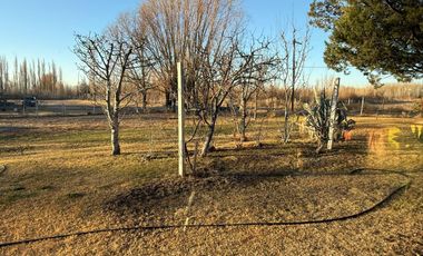 Venta propiedad en Allen , Rio Negro