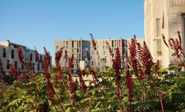 Venta departamento 5 ambientes en Venie, Tigre