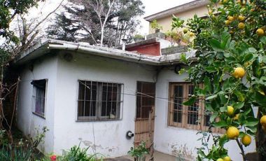 Gran local y 2 departamentos sobre Av. Fortunato de la Plaza