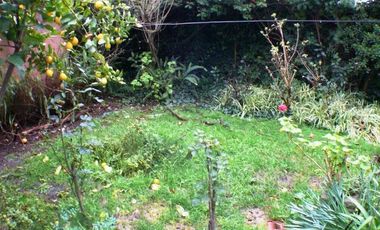 Gran local y 2 departamentos sobre Av. Fortunato de la Plaza