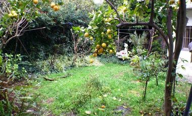 Gran local y 2 departamentos sobre Av. Fortunato de la Plaza