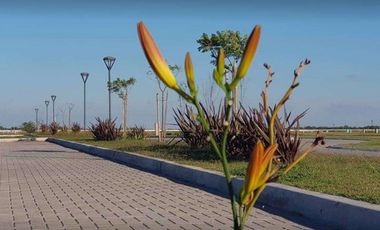 Terreno - Canning (Ezeiza)