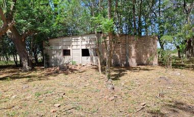 46 HECTAREAS DE CAMPO EN ZONA RURAL  - LOBOS