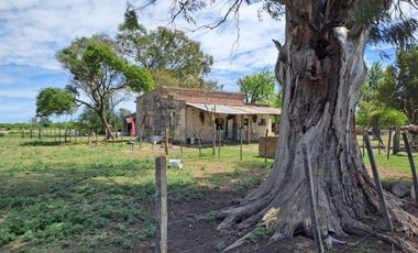46 HECTAREAS DE CAMPO EN ZONA RURAL  - LOBOS