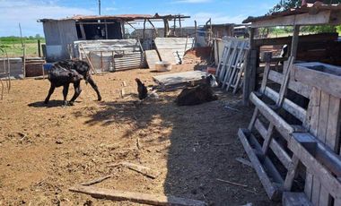 46 HECTAREAS DE CAMPO EN ZONA RURAL  - LOBOS