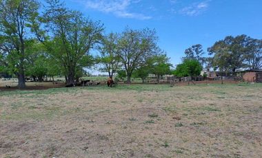 46 HECTAREAS DE CAMPO EN ZONA RURAL  - LOBOS