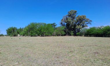 46 HECTAREAS DE CAMPO EN ZONA RURAL  - LOBOS