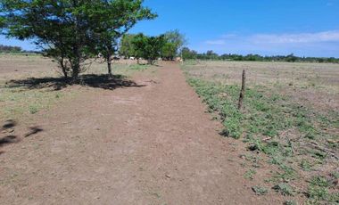 46 HECTAREAS DE CAMPO EN ZONA RURAL  - LOBOS