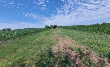 46 HECTAREAS DE CAMPO EN ZONA RURAL  - LOBOS