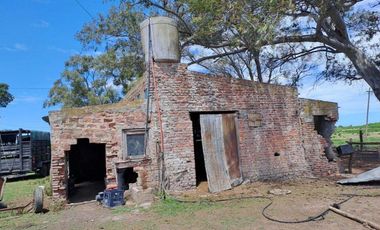 46 HECTAREAS DE CAMPO EN ZONA RURAL  - LOBOS