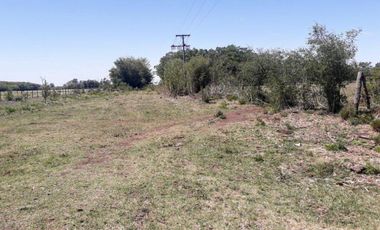 46 HECTAREAS DE CAMPO EN ZONA RURAL  - LOBOS