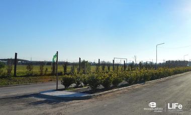 EcoPueblo Alvear - Todos los servicios - Apto comercial - Avenida principal