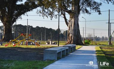 EcoPueblo Alvear - Todos los servicios - Apto comercial - Avenida principal