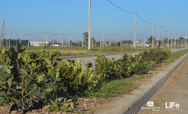 EcoPueblo Alvear - Todos los servicios - Apto comercial - Avenida principal