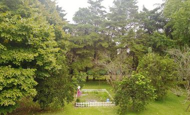 Casa - Costos de Alameda