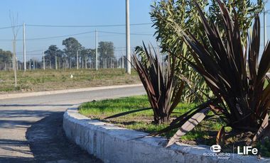 EcoPueblo Alvear - Todos los servicios - Terreno Comercial sobre avenida