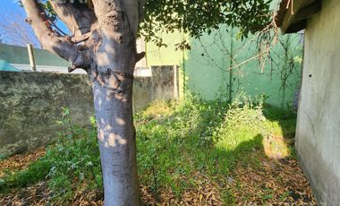 Venta de casa con local y cochera en Wilde