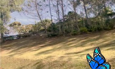 Venta lote antioquia retiro parcelación cerrada luxury 6600 m2 bosque