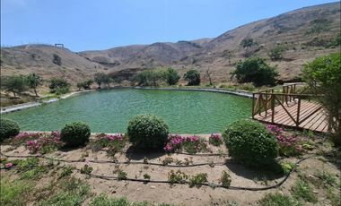 VENTA DE TERRENO NUEVO POLO CAÑETE