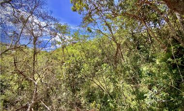 Venta Espectacular Lote Parcelacion Marinilla