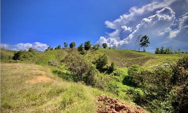 Venta Espectacular Lote Parcelacion Marinilla