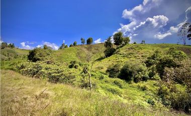 Venta Espectacular Lote Parcelacion Marinilla