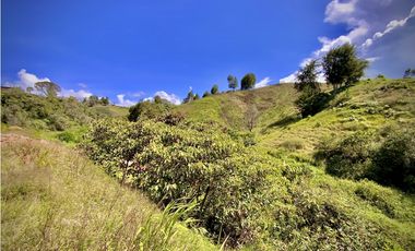 Venta Espectacular Lote Parcelacion Marinilla