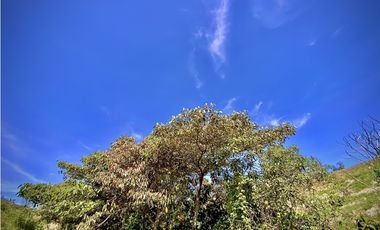 Venta Espectacular Lote Parcelacion Marinilla