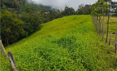 Finca en venta Titiribí Antioquia sector jardín