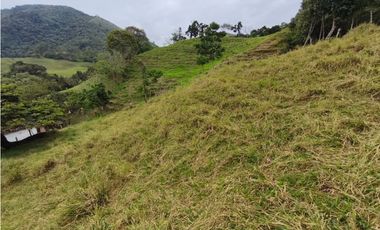 Finca en venta Titiribí Antioquia sector jardín