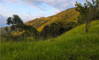 Finca en venta Titiribí Antioquia sector jardín